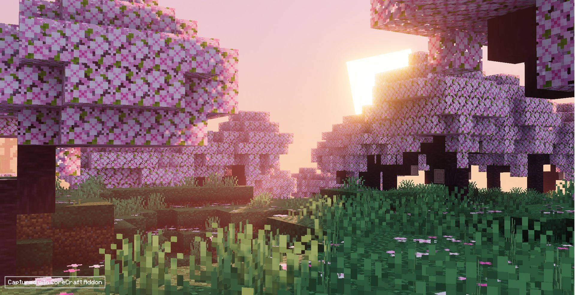 cherry-biome-jpg.jpg