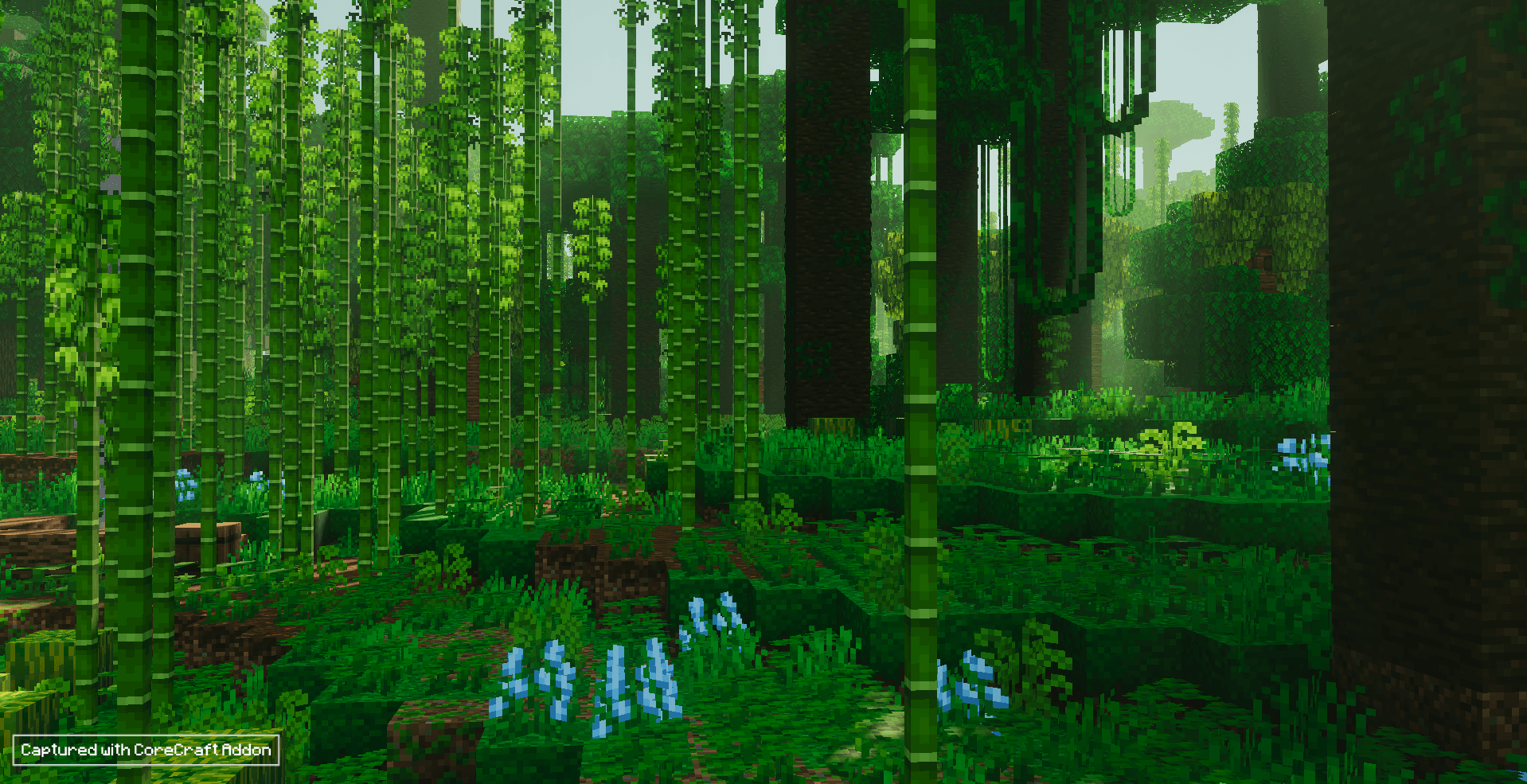 jungle-png.png